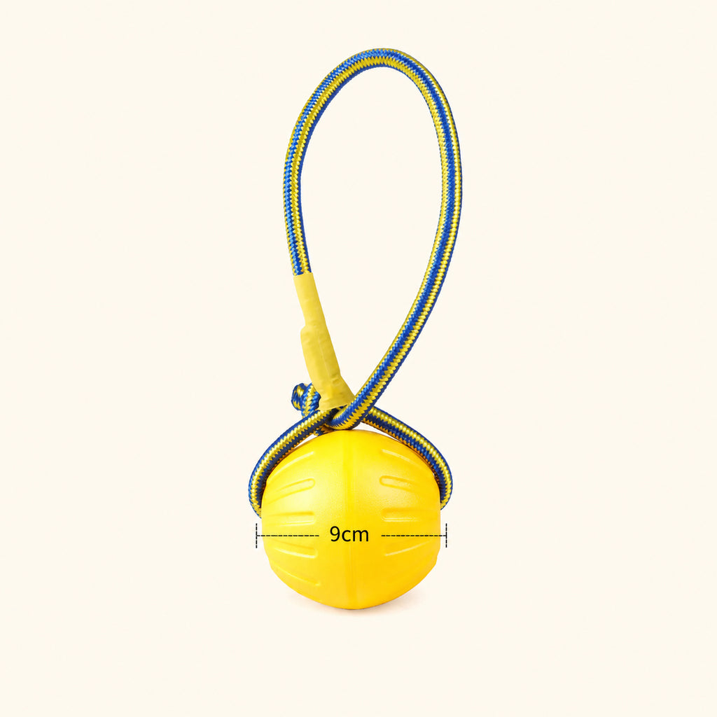 Yellow Circle Single