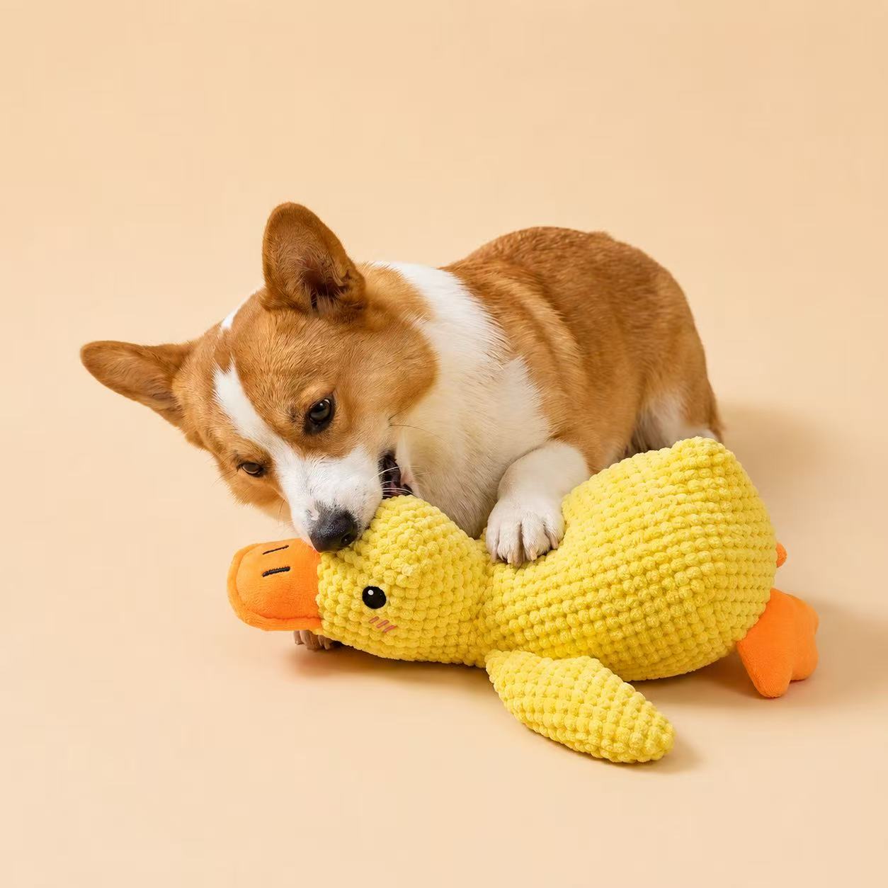 Butter Duck