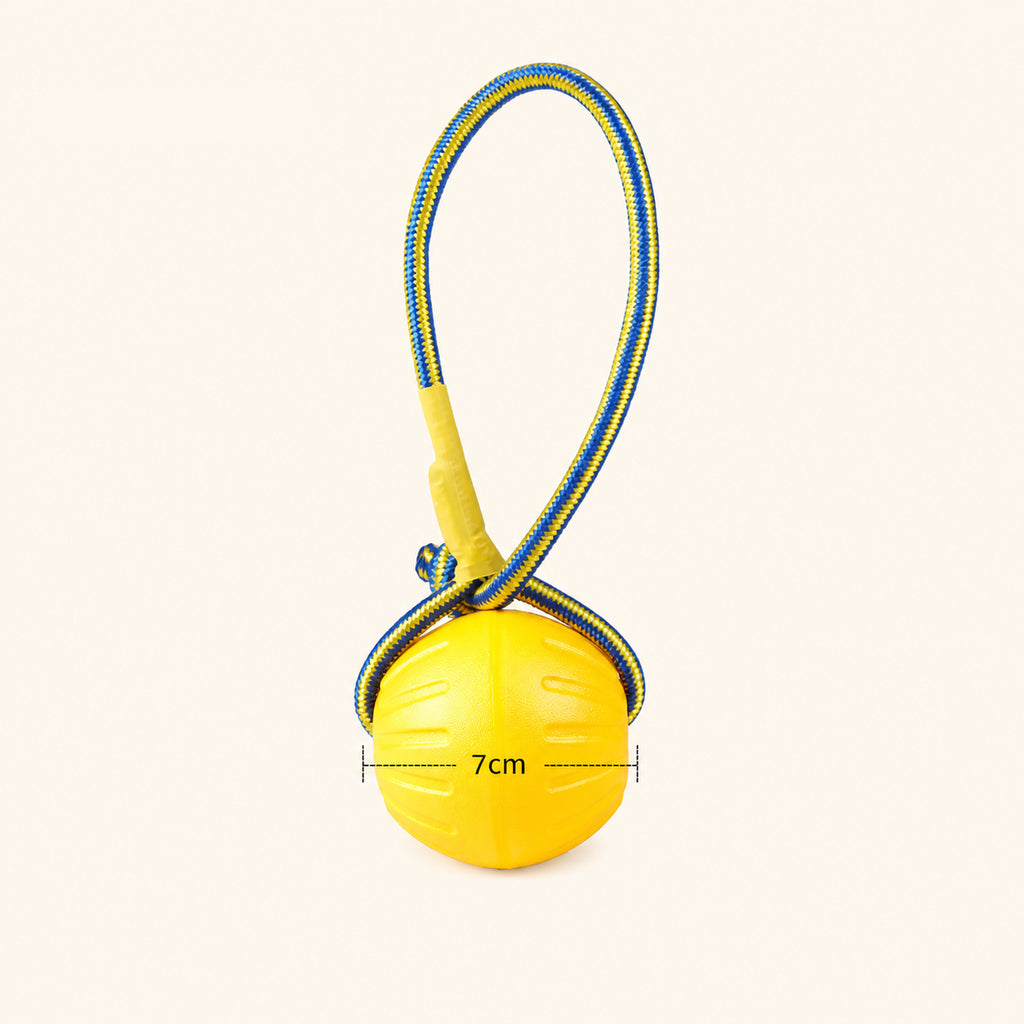 Yellow Circle Single